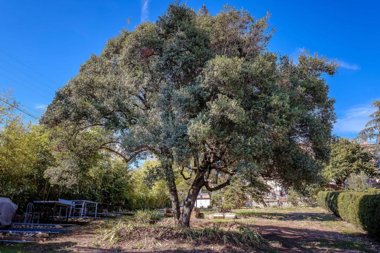 פורקלקייה B&B En Provence- Villa Saint Marc מראה חיצוני תמונה