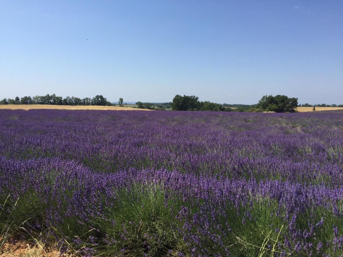 פורקלקייה B&B En Provence- Villa Saint Marc מראה חיצוני תמונה